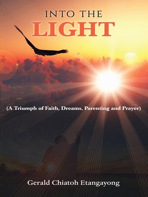cover image of Into the Light